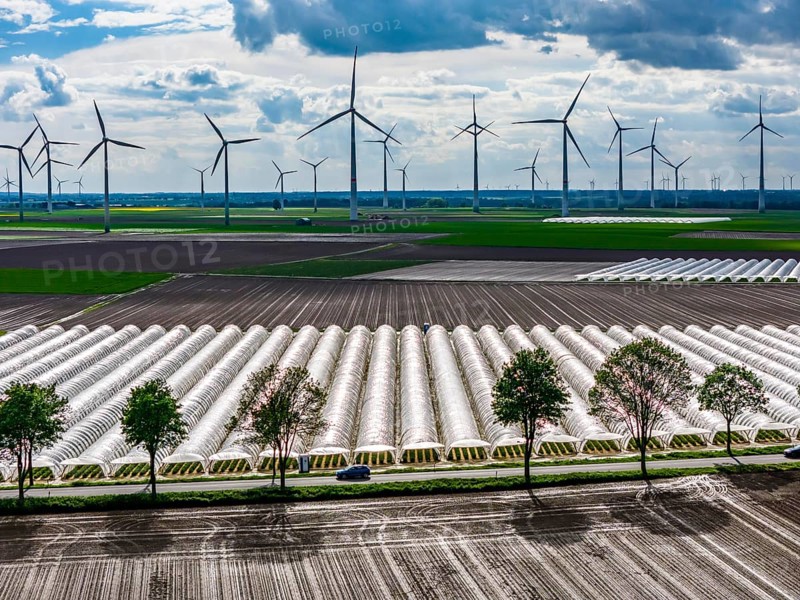 Agriculture, large areas with foil tunnel, for the cultivation of strawberries, freshly cultivated fields, wind farm, south of Lövenich, belongs to Erkelenz, in the district of Heinsberg