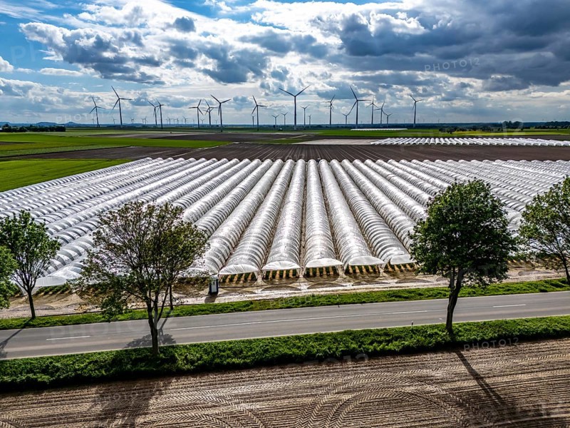 Agriculture, large areas with foil tunnel, for the cultivation of strawberries, freshly cultivated fields, wind farm, south of Lövenich, belongs to Erkelenz, in the district of Heinsberg