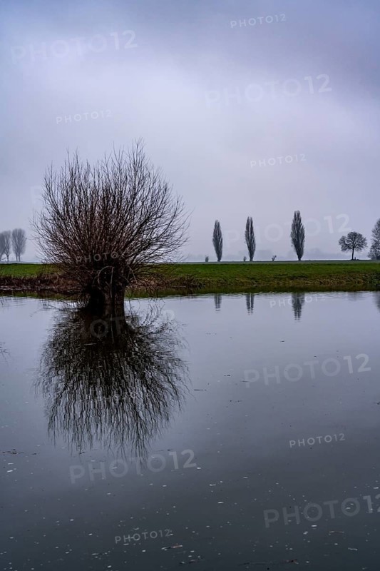 High water on the Rhine at Düsseldorf-Kaiserswerth, foggy weather, riverside paths and Rhine meadows are partly flooded, the Rhine ferry has stopped operating, initial restrictions on shipping apply, Düsseldorf, North Rhine-Westphalia, Germany, Europe