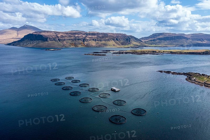 Floating cages of a salmon farm, sea between Isle of Ulva and Isle of Mull, Mt. Ben More (Mull) in the back, Aerial view, Scotland, UK