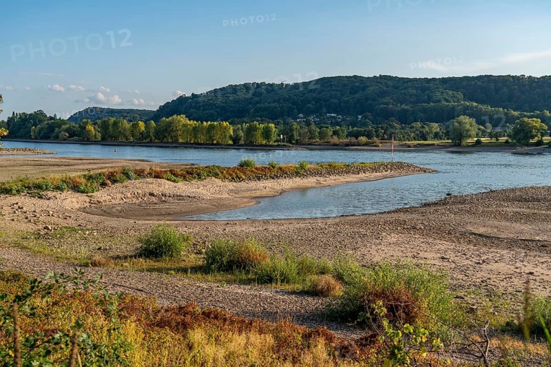 The Rhine at extremely low water, near Bad Honnef Rhöndorf, below the Drachenfels, Nonnenwerth Island, dry Rhine banks, cargo ship, with very reduced cargo, North Rhine-Westphalia, Germany, Europe