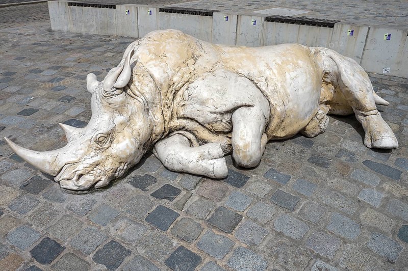 Sculpture of a sleeping Rhino, 2016 created by the artist Dorota Hadrian from Krakow, Egidienplatz, Nuremberg, Middle Franconia, Bavaria, Germany, Europe