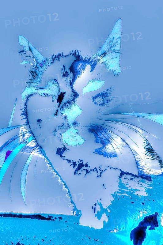 Michas Cats, art, mixed media, artist Michael Preyer, abstract cat portrait, portrait, cat head, painting, graphic, portrait of a cat, ears, whiskers, colour blocking, blue, soft, alienation, Germany, Europe