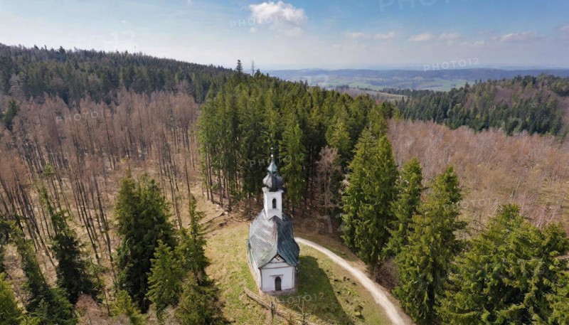 Forest, forest dieback, dead spruces due to drought and bark beetle, small church on forest path, aerial view, KI generated, AI generated