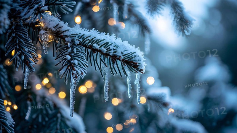 Detailed shot of frosted pine branches with twinkling fairy lights and icicles hanging, creating a sparkling wintery effect, AI generated