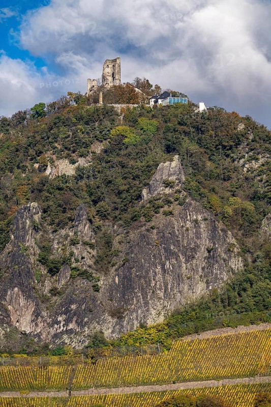 Drachenfels, a mountain in the Siebengebirge on the Rhine between Bad Honnef and Königswinter, with Drachenfels castle ruins, Drachenfelsplateau, North Rhine-Westphalia, Germany, Europe