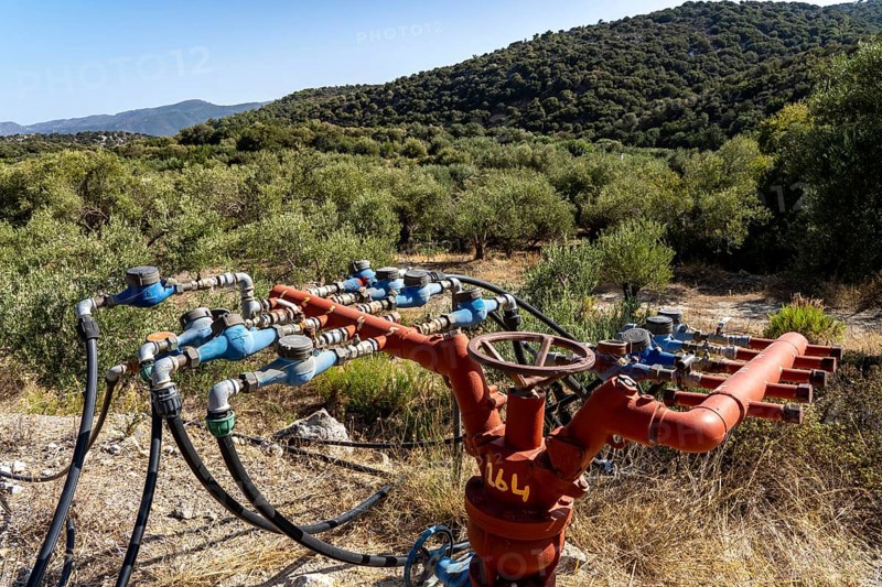 Water supply in an olive tree plantation, several hoses lead from a main pipe to the respective plantations, with water meter, without artificial irrigation the olive yields would not be feasible, on the island of Crete, south of Agios Nikolaos, Greece, Europe