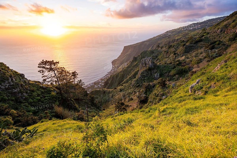 Evening mood, green coastal landscape on a steep cliff at sunset, sea and coast, viewpoint Miradouro da Raposeira, Paul do Mar, Madeira, Portugal, Europe