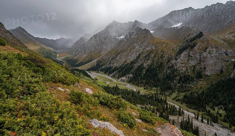 Green mountain valley with river and steep mountain peaks, Chong Kyzyl Suu Valley, Terskey Ala Too, Tien-Shan Mountains, Kyrgyzstan, Asia