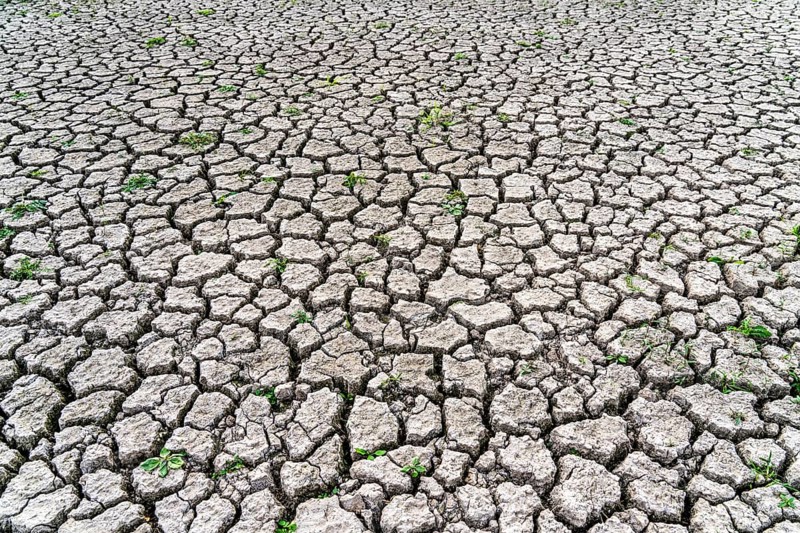 Dry ground, cracked, dried-up riverbed, in a branch of the Rhine, near Duisburg