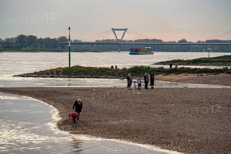 Walkers on the Rhine beach between Düsseldorf and Krefeld, container cargo ship, behind the airport bridge of the A44 motorway, Lower Rhine landscape, North Rhine-Westphalia, Germany, Europe