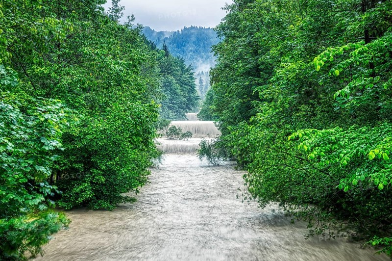 A river with strong rapids between dense, green trees in the forest, Jenbach, Bad Feilnbach