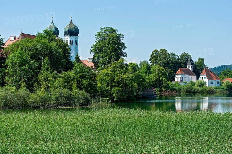 Romanesque Benedictine Abbey Seeon Monastery, St Lambert's Monastery Church, Walburgis Chapel, St Walburg or St Walburgis, common reed (Phragmites australis) at the monastery lake, Seeon-Seebruck, Chiemgau, Upper Bavaria, Bavaria, Germany, Europe