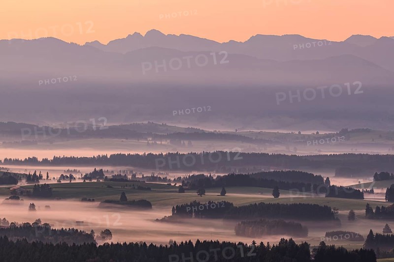 Foggy mood, morning light, mountain landscape, autumn, Alpine foothills, Königswinkel, view of Ammergau Alps, Bavaria, Germany, Europe