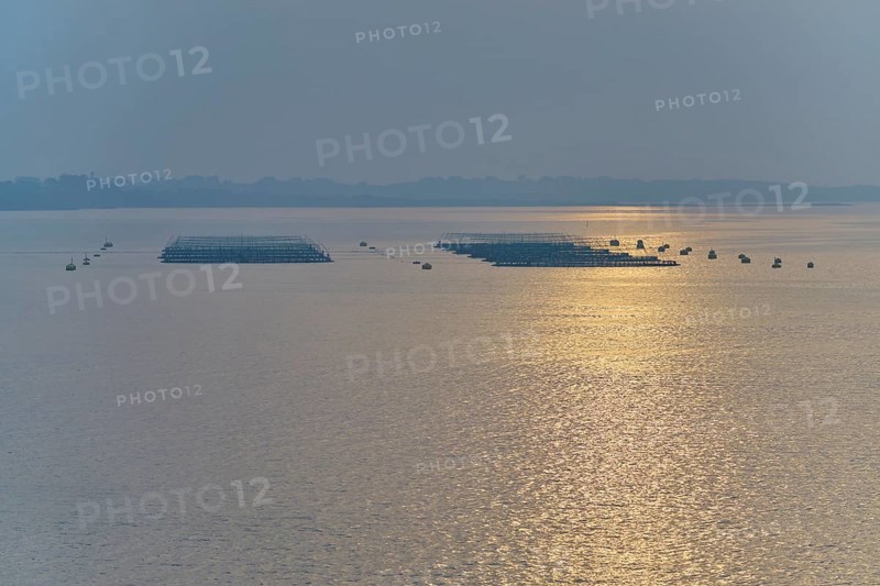 Gentle sunset over calm sea Fish farm, Salmon farm, Bergen, North Sea, Norway, Europe