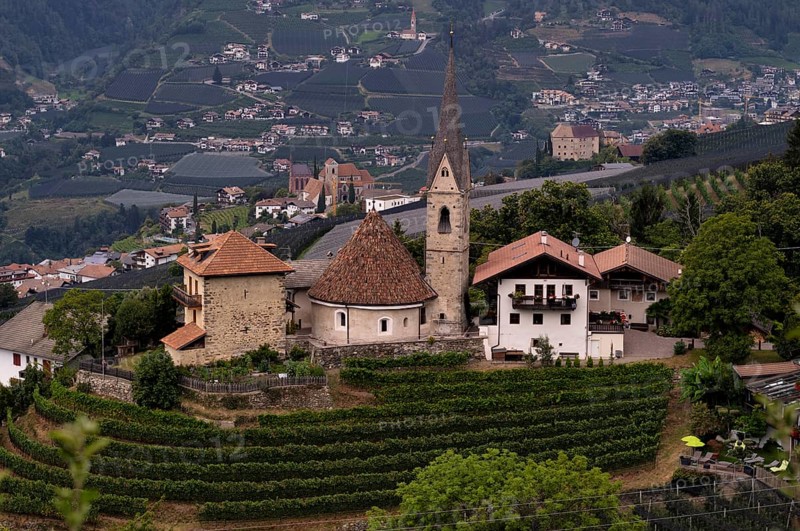 Round church of St. George, St. Georgen, vineyards, vines, Scena, Scena, South Tyrol, Autonomous Province of Bolzano, Italy, Europe