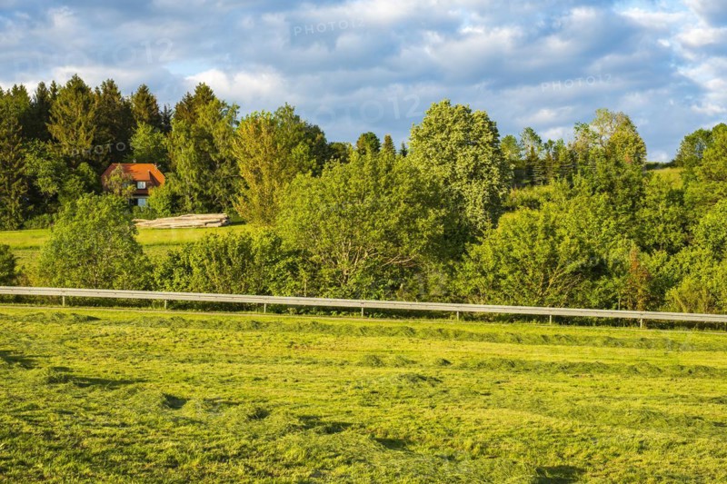 Rural area and freshly mown meadow in the evening light, Swabian Alb, Münsingen, Baden-Württemberg, Germany, Europe