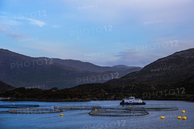 Sunset over Salmon farm in Norway, Innvikfjorden, Olden, Norway, Europe