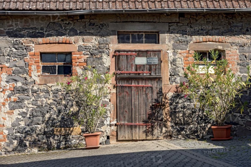Historic farmhouse around 1800, sandstone façade, natural stone, brick, weathered wooden gate to the stable, plant pots with rhododendrons (Rhododendron), idyllic, romantic, Nidda, Vogelsberg, Wetterau, Hesse, Germany, Europe