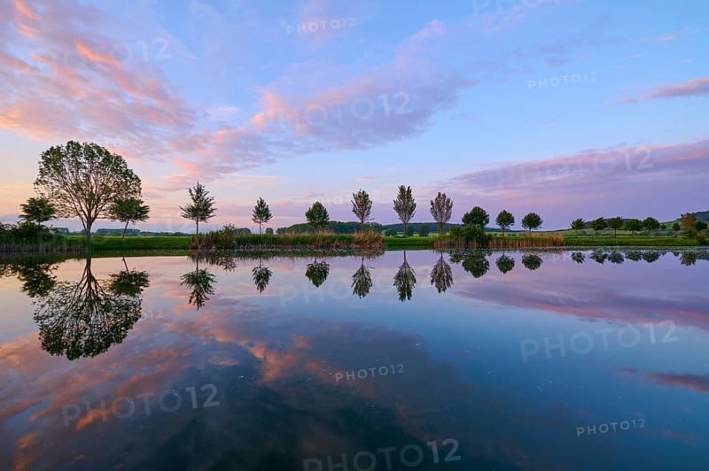 Lake in spring with row of trees and reflection at sunset, Drei Gleichen, Ilm-Kreis, Thuringia, Germany, Europe