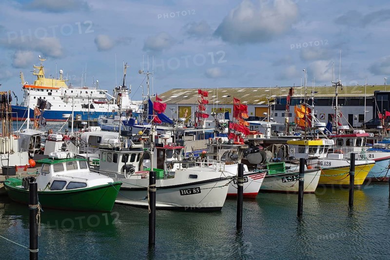 A collection of fishing boats in the harbour, surrounded by various flags and boathouses, Hirtshals, Jutland, Denmark, Europe