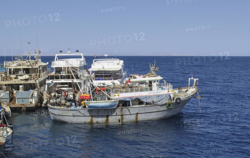 Fishing boats in the harbour of Hurghada, Red Sea, Egypt, Africa