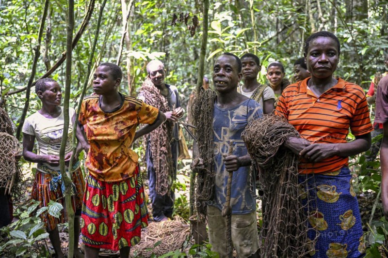 Pygmies of the Baka or BaAka people with their hunting nets in the forest, Dzanga-Sangha Special Dense Forest Reserve, Sangha-Mbaéré Prefecture, Central African Republic, Africa