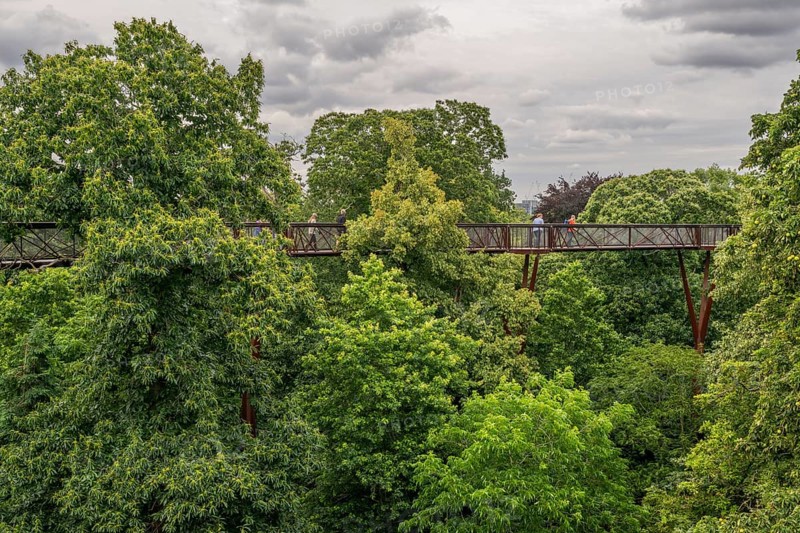 Visitors on the Treetop Walkway, steel structure, Royal Botanic Gardens (Kew Gardens), UNESCO World Heritage Site, Kew, Greater London, England, United Kingdom, Europe