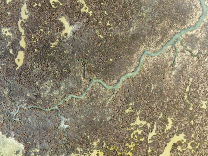 Marshland at low tide. Nature Reserve La Breña y Marismas del Barbate. Aerial view. Drone shot. Cádiz province, Andalusia, Spain, Europe