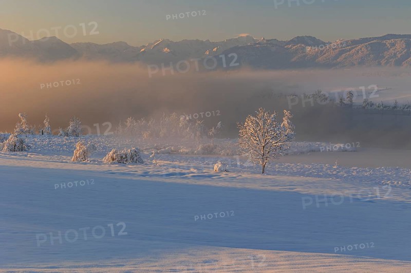 Lake in front of mountains in the morning light, fog, snow, winter, Riegsee, view of Zugspitze, Alpine foothills, Upper Bavaria, Bavaria, Germany, Europe