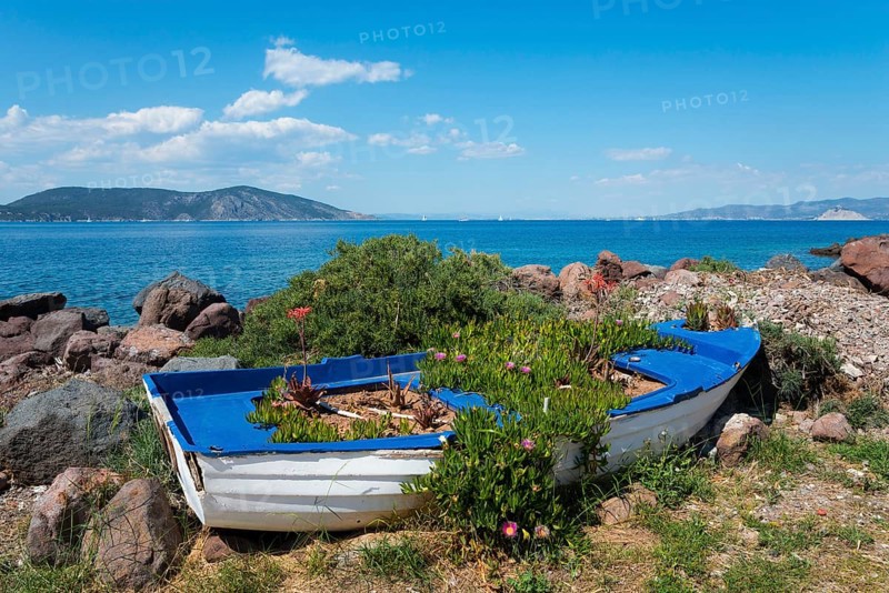Old boat filled with plants on a rocky shore with sea view and flowers, Agíos Nikólaos, Agios Nikolaos, Methana peninsula, Argolida regional district, Argolis, Peloponnese, Greece, Europe