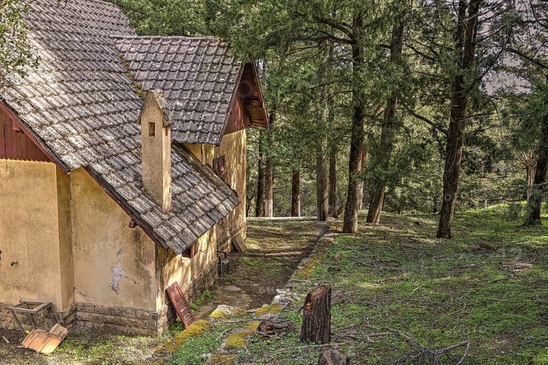 A house with tiled roof and chimney in the peaceful green forest, Big old trees, wild nature, Profitis Ilias, Rhodes, Dodecanese, Greek Islands, Greece, Europe