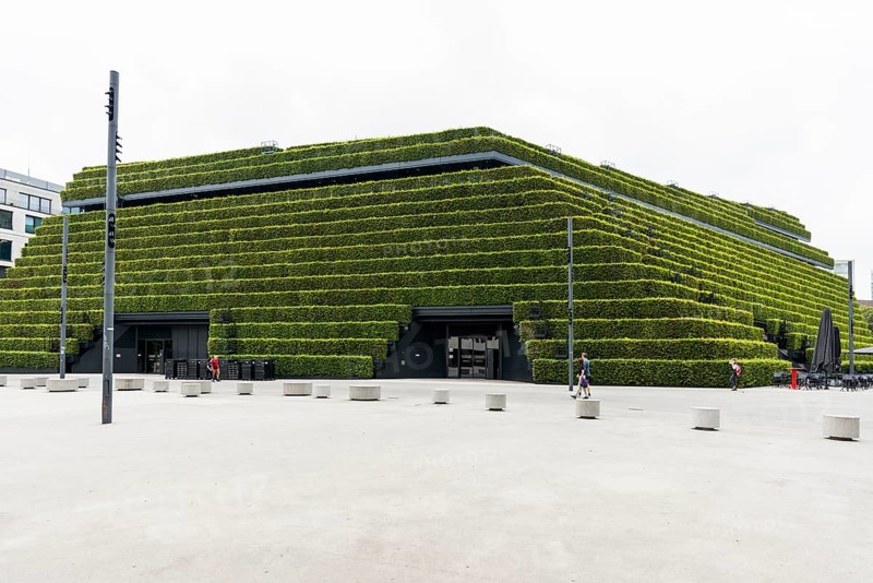 Kö-Bogen II office and commercial building, façade planted with hornbeam hedges, architect Christoph Ingenhoven, Düsseldorf, Rhineland, North Rhine-Westphalia, Germany, Europe