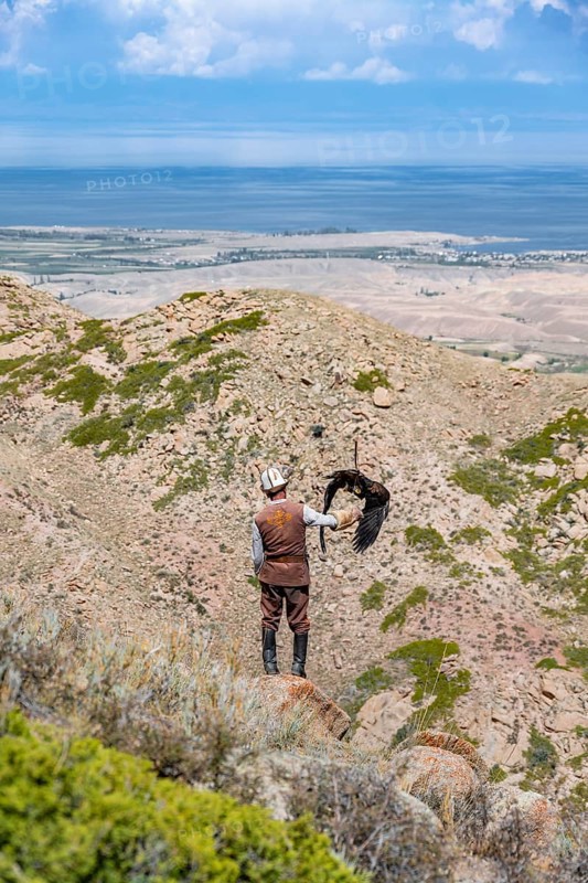 Traditional Kyrgyz eagle hunter hunting in the mountains in a dry landscape, near Kysyl-Suu, Issyk Kul, Kyrgyzstan, Asia
