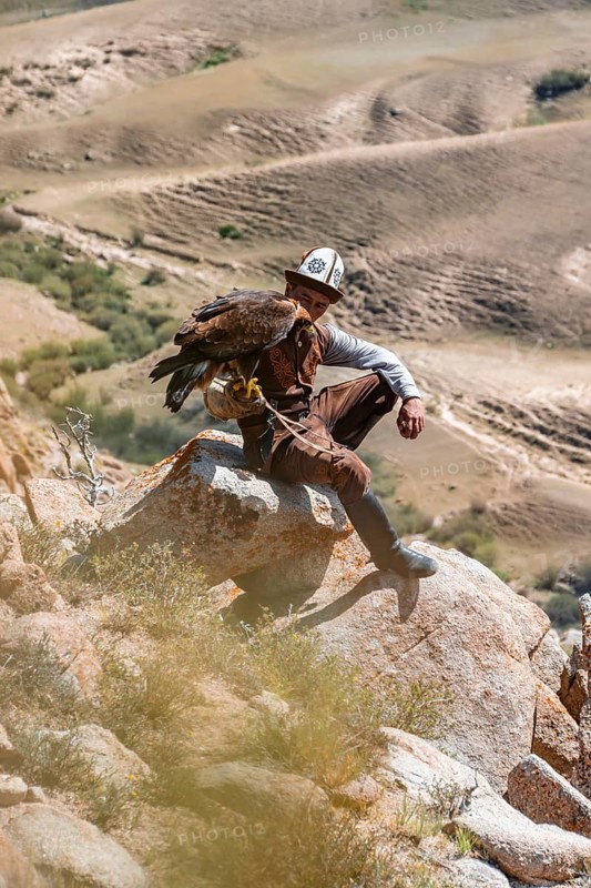 Traditional Kyrgyz eagle hunter hunting in the mountains in a dry landscape, near Kysyl-Suu, Issyk Kul, Kyrgyzstan, Asia