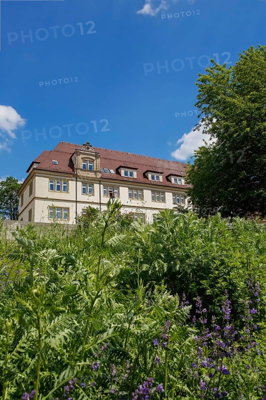 Backnang Castle, Schickhardt Castle, ducal castle, historic building, built between 1605 and 1627 by Heinrich Schickhardt, 17th century, today the district court of the city of Backnang, Stiftshof, Backnang, Rems-Murr district, Baden-Württemberg, Germany, Europe