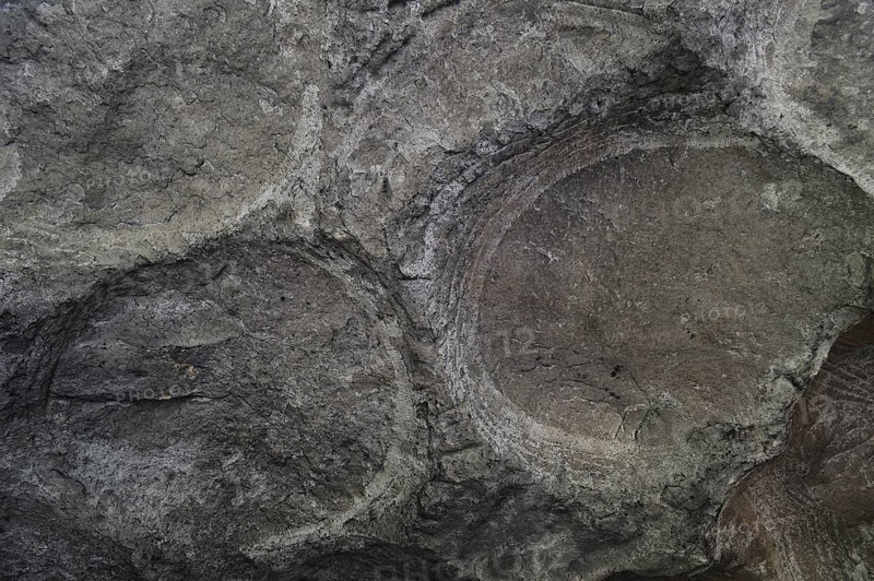 Grooves and circles in the sandstone rock from carving millstones at the Hohllay cave in Berdorf, Little Switzerland, Mullerthal, Grand Duchy of Luxembourg