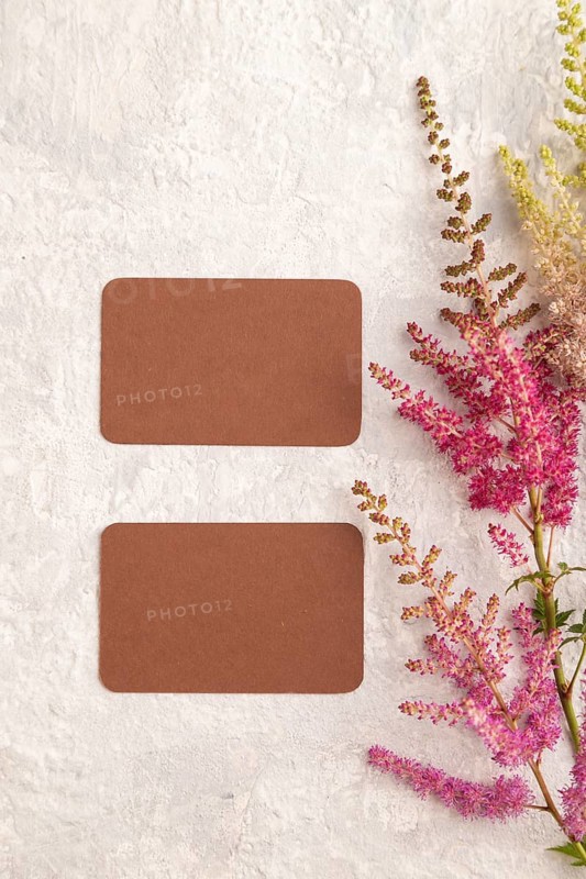 Brown paper business card mockup with purple astilbe flowers on gray concrete background. Blank, top view, copy space, still life. spring concept