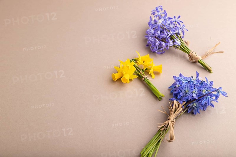 Spring snowdrop flowers bluebells, narcissus on beige pastel background. side view, copy space, still life. Beauty, spring concept
