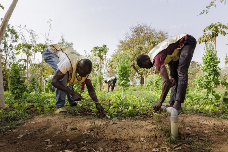 Farmers practising organic farming at the agroecological training centre Centre Beo-Noree in Beo-Noree, 04.03.2024.photographed on behalf of the Federal Ministry for Economic Cooperation and Development