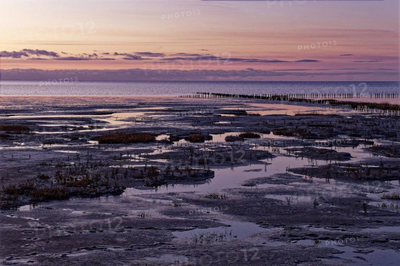 Evening tidal flat landscape shortly after sunset at low tide in the Wadden Sea National Park. UNESCO World Heritage Site, Friedrichskoog, Schleswig-Holstein, Germany, Europe