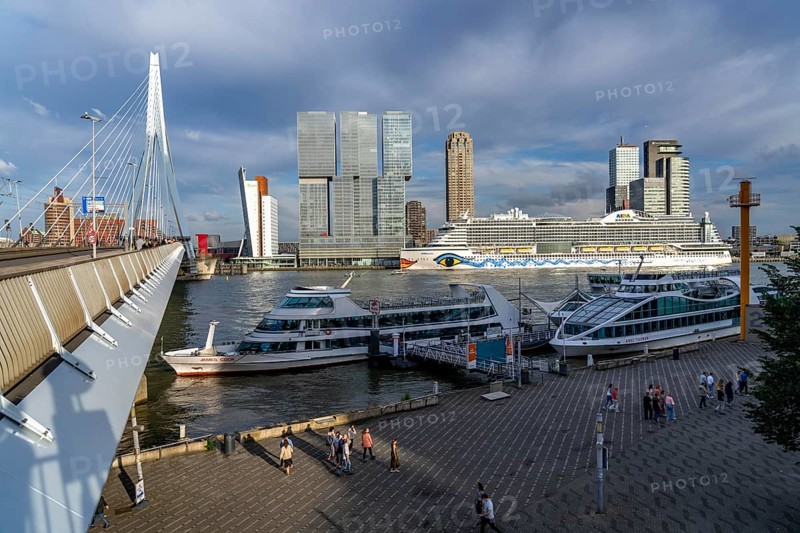 Rotterdam, skyline at the Nieuwe Maas, Erasmus Bridge, skyscrapers at the Kop van Zuid district, cruise ship Aida Prima at the cruise terminal, Spido cruise ships, Netherlands