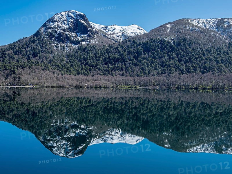 Lake Lago Quilleihue, calm surface, reflections on the water, araucaria trees, Villarica NP near Paso Tromen Ó Mamuil Malal, Chile, South America
