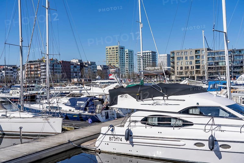 Willemdok, Jachthaven Antwerpen harbour basin, old harbour district, Het Eilandje of Antwerp, formerly disreputable, dingy district, now modern, hip district, with lots of culture, living space, leisure, gastronomy, trendy district, Flanders, Belgium, Europe