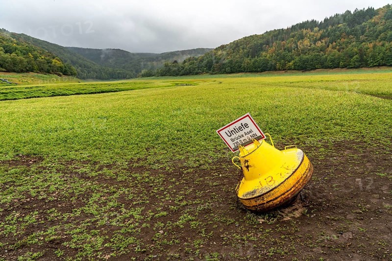 Lake Edersee, near Waldeck, the third largest reservoir in Germany, is currently only 13% full, the lake was last full in May 2022, dried out due to lack of rain, the lake shore and the lake bed is overgrown with fresh grass, Asel-Süd, Hesse, Germany, Europe