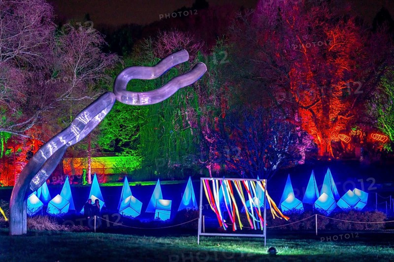 Parkleuchten, event in winter, in the Grugapark in Essen, many different light installations, across the park, attract many thousands of visitors, North Rhine-Westphalia, Germany, Europe