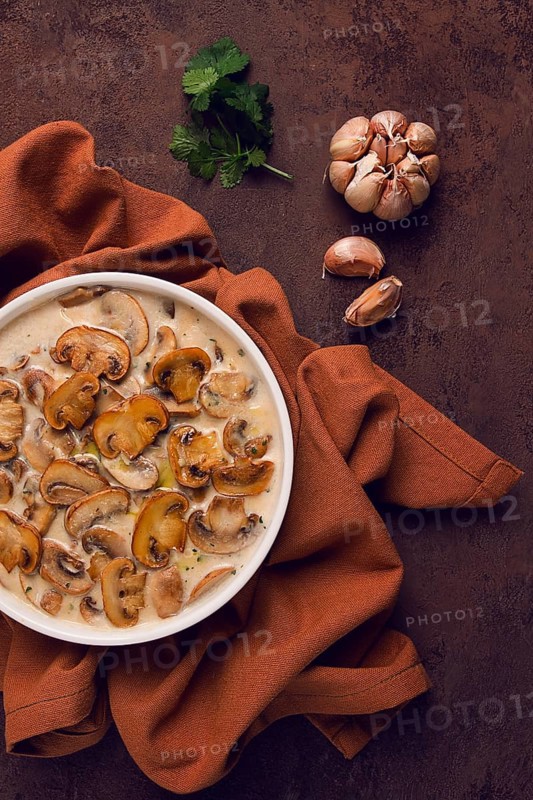 Champignons in creamy garlic sauce, with herbs and spices, gravy, sauce, no people