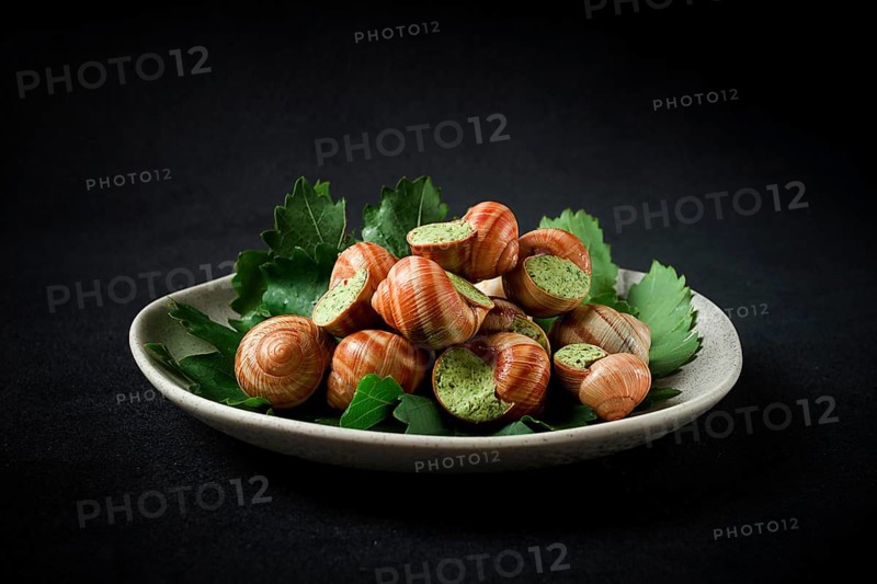 Grape snails, stuffed in burgundy, french cuisine