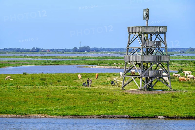 Observation tower at Plan Tureluur, nature reserve near Kerkwerwe on the island Schouwen-Duiveland, Zeeland, the Netherlands