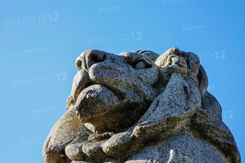 Resting lion made of granite on the terrace base of the equestrian statue of Emperor Wilhelm I on Karlsplatz, lion's head, snout, mouth, eyes, lion's mane, historic square, sculpture, large sculpture, equestrian monument by Professor Wilhelm von Rümann and Professor Friedrich Ritter von Thiersch, art in public space, state capital, Stuttgart, Baden-Württemberg, Germany, Europe